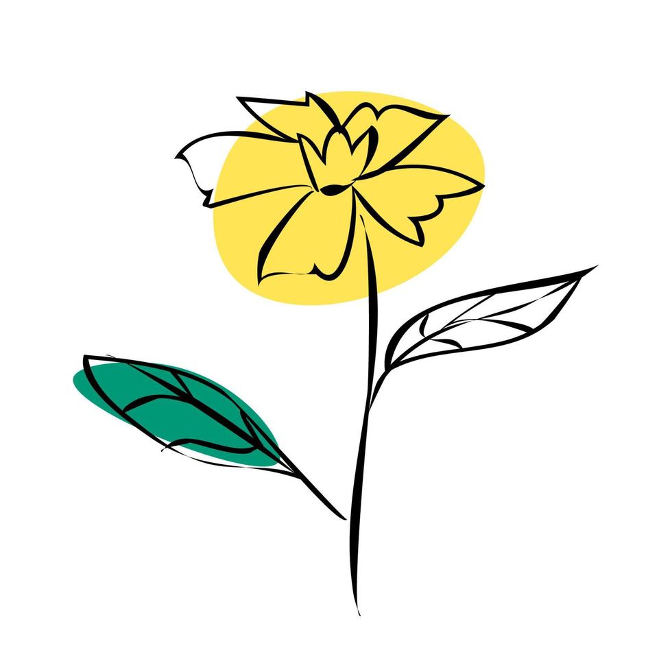 boceto flor amarilla de contornos negros aislados sobre fondo blanco. vector