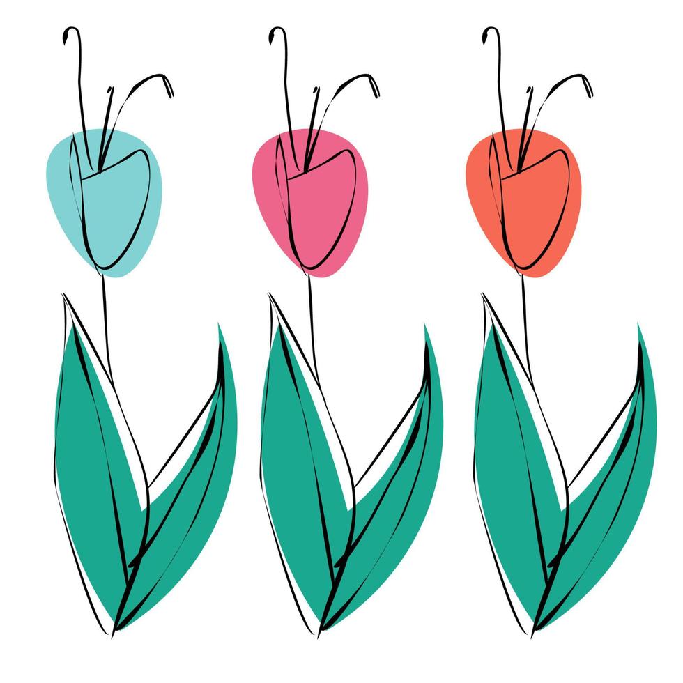 Set of sketch flowers of black outlines and fill different colors - rose, blue, orange. Tulip blossom isolated on white background. vector