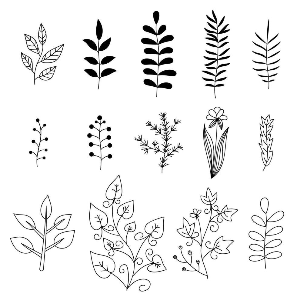 conjunto de elementos florales. ramas de los árboles. conjunto de flores de doodle dibujadas a mano. vector