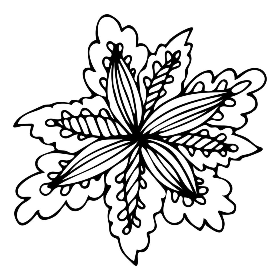 Cute cartoon doodle flower isolated on white background. Floral element for design. vector