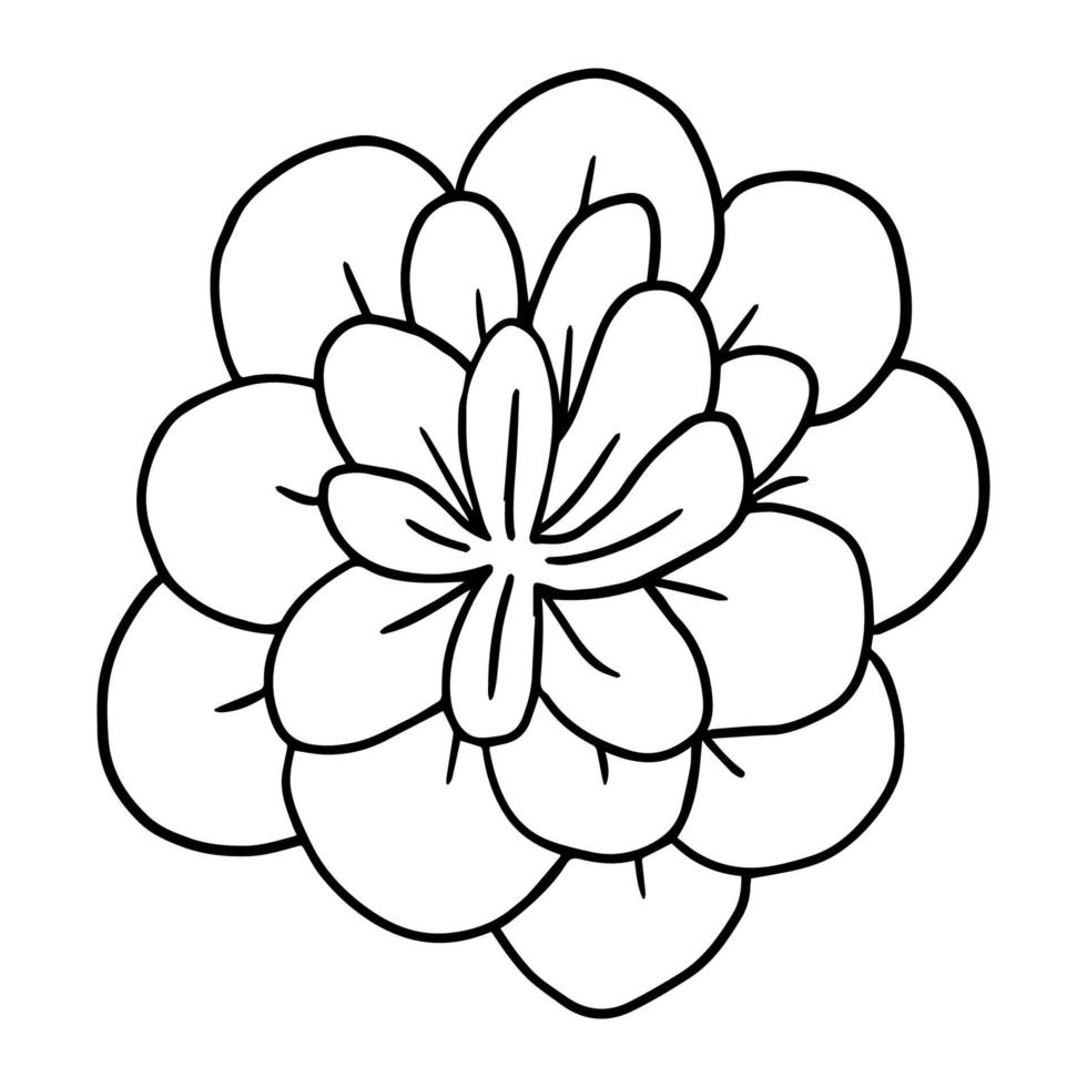 Flor suculenta linda del doodle aislada en el fondo blanco. icono de planta de dibujos animados. arbusto aislado. vector