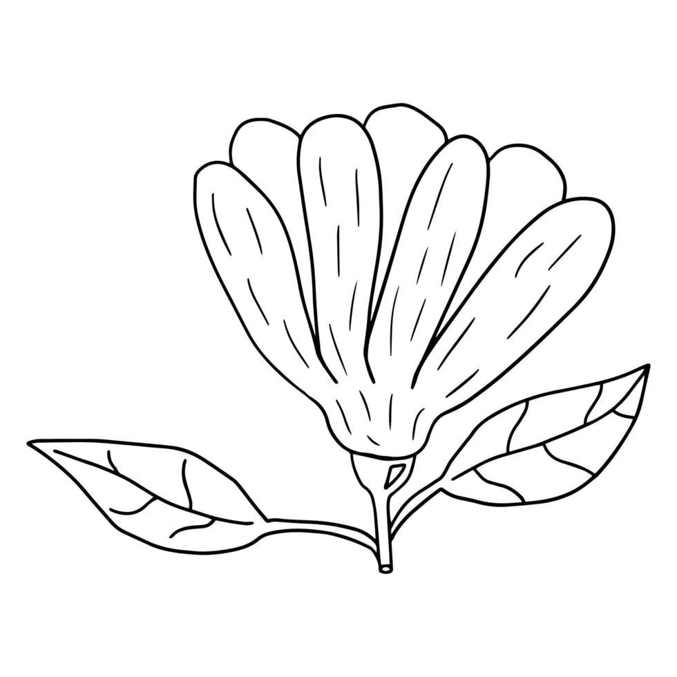 Cartoon doodle flower with leaves isolated on white background. vector