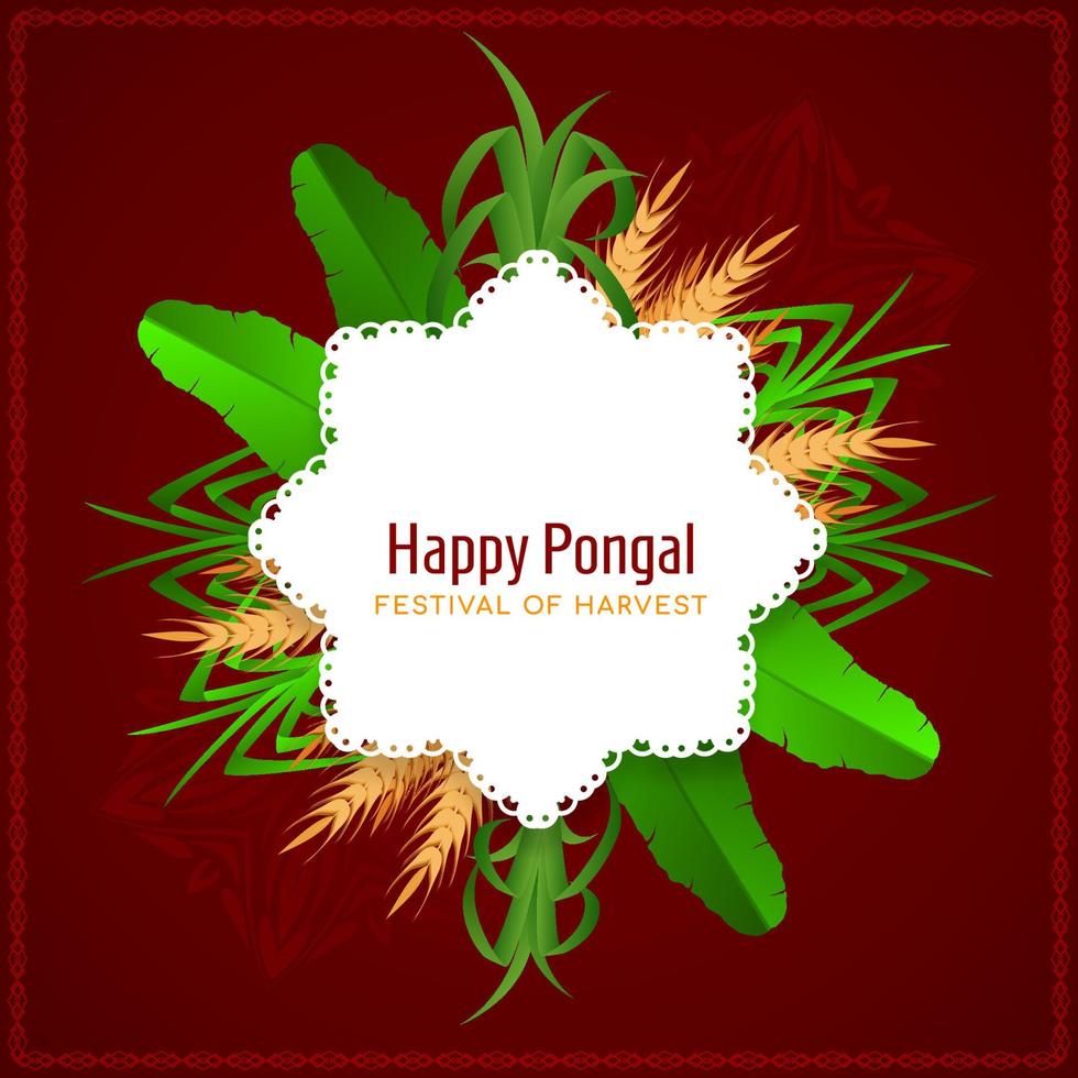 Traditional Indian Happy pongal festival greeting background design vector