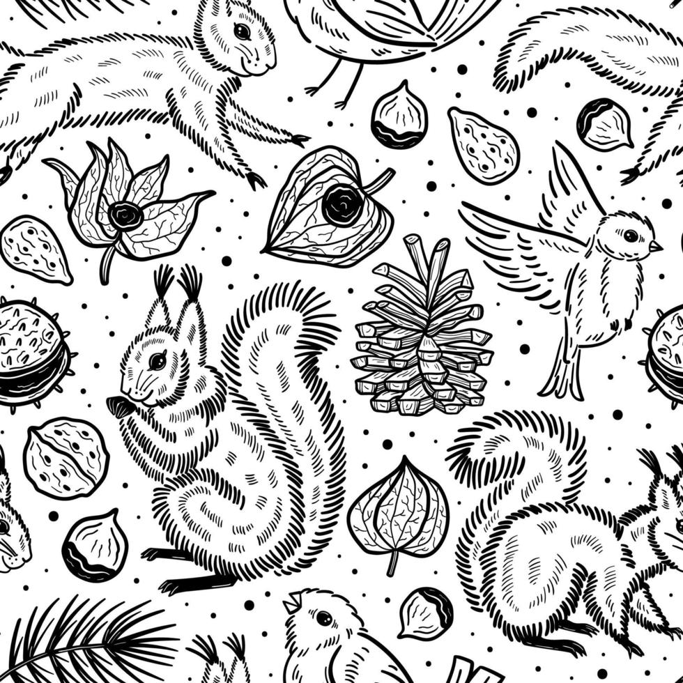 bosque animales naturaleza plantas ardilla pájaro piñón castaño rama semilla physalis invierno cereza negro silueta tinta vector ilustración patrón transparente textura fondo