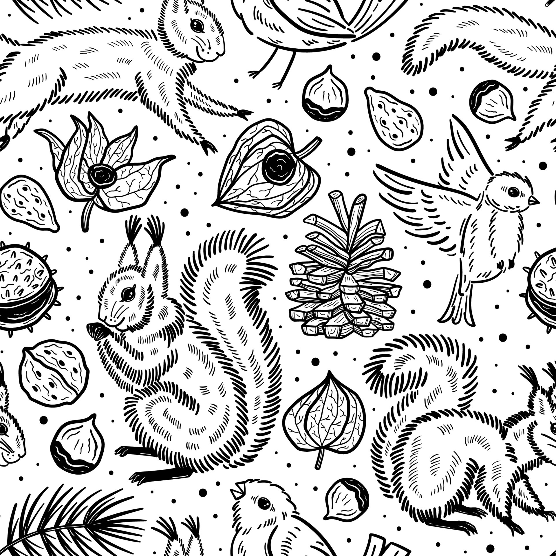 Forest animals nature plants Squirrel bird pine nut chestnut branch seed physalis winter cherry Black silhouette ink vector illustration Seamless pattern texture background 5028812 Vector Art at Vecteezy Forest animals nature plants Squirrel bird pine nut chestnut branch seed physalis winter cherry Black silhouette ink vector illustration Seamless pattern texture background 5028812 Vector Art at Vecteezy