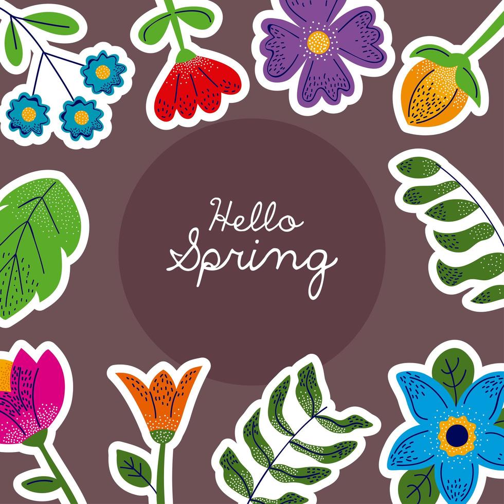 hello spring lettering vector