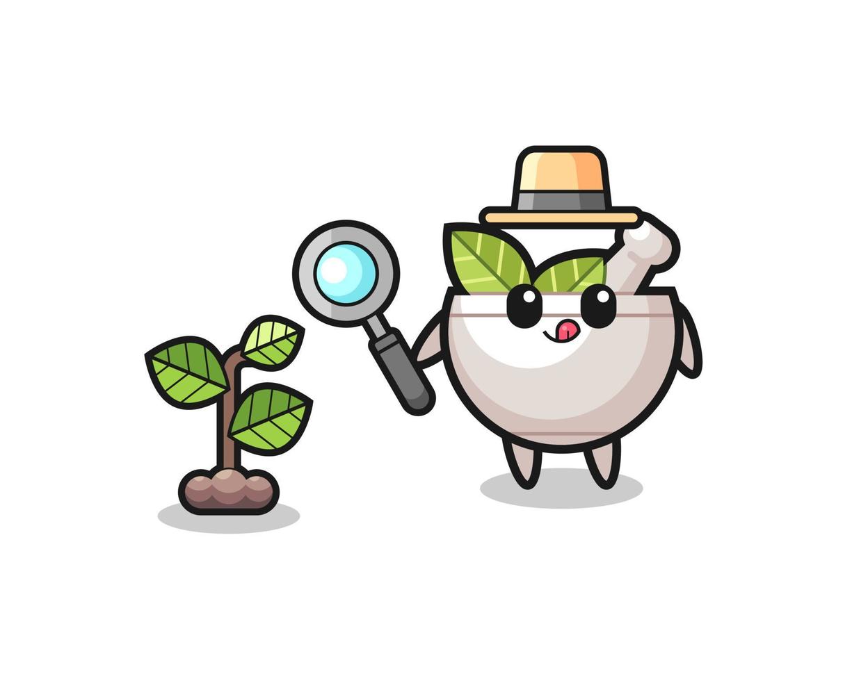 cute herbal bowl herbalist researching a plants vector