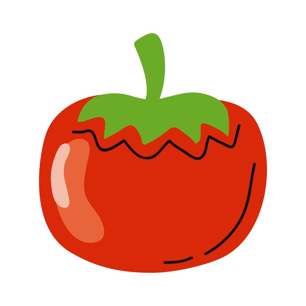 red tomato vegetable vector
