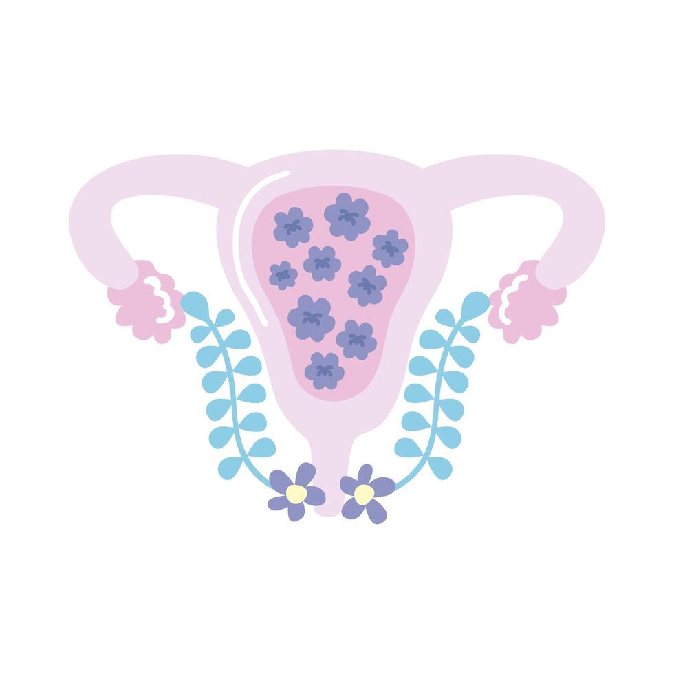 female uterus with flowers vector