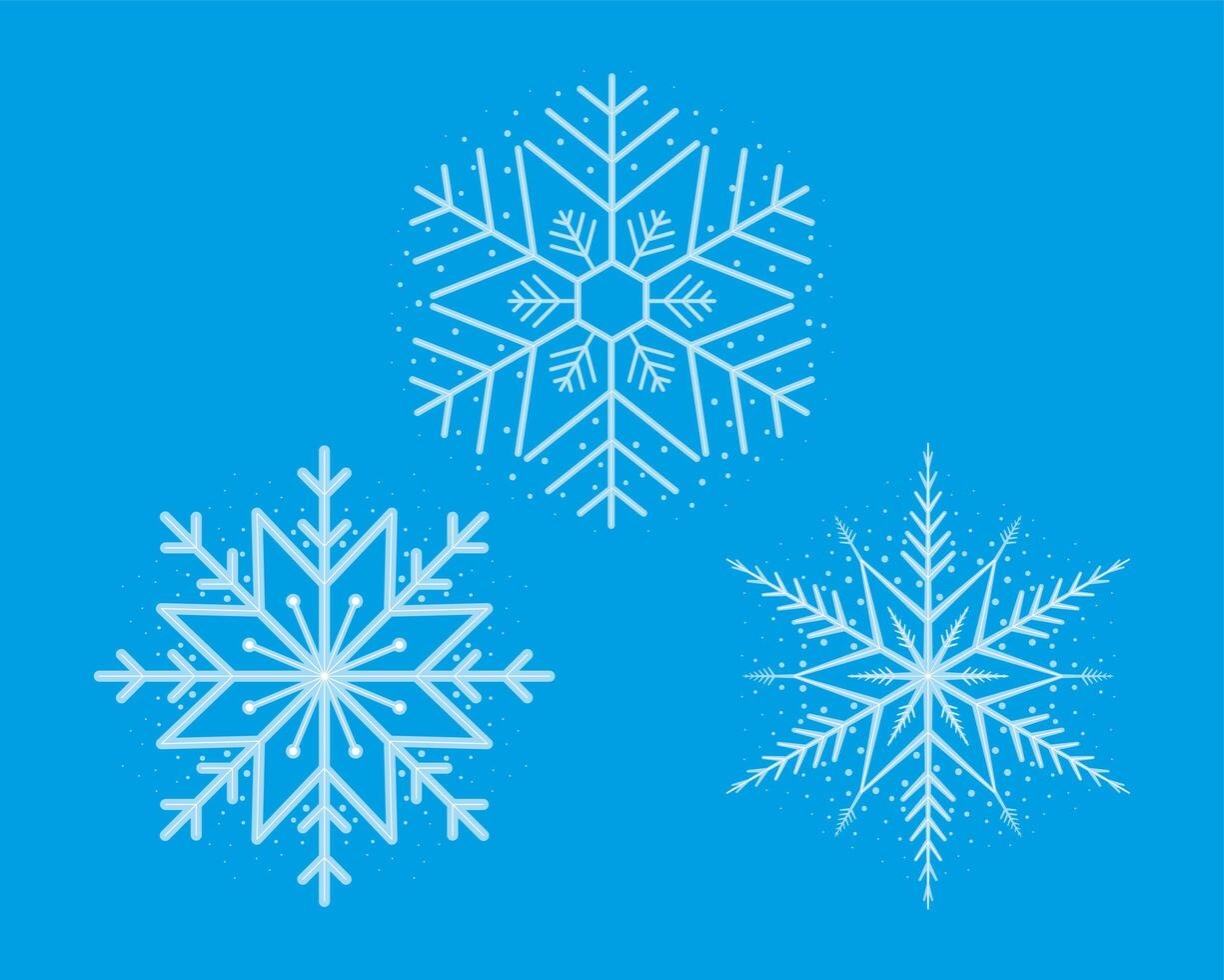 three snowflakes winter icons vector