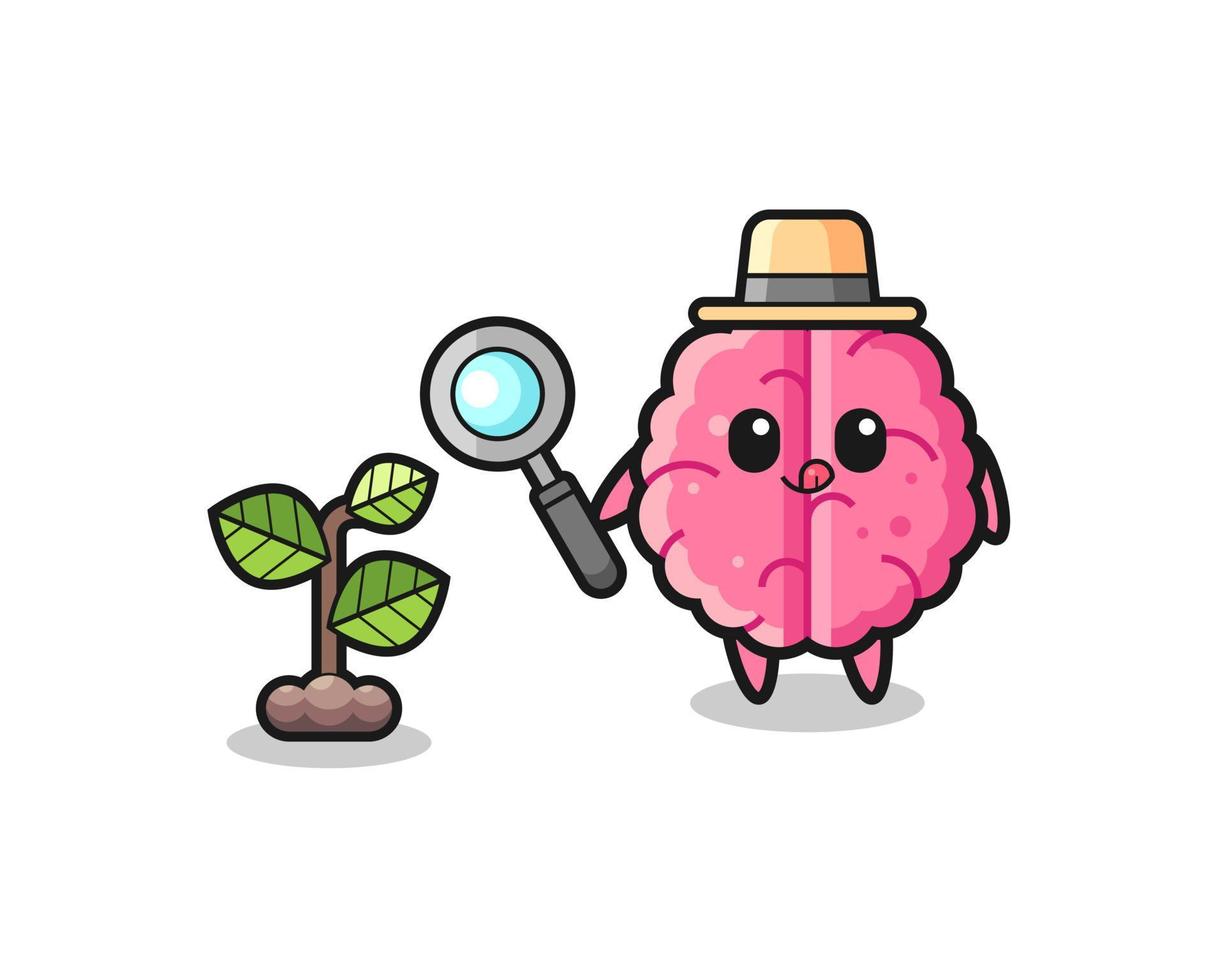 cute brain herbalist researching a plants vector