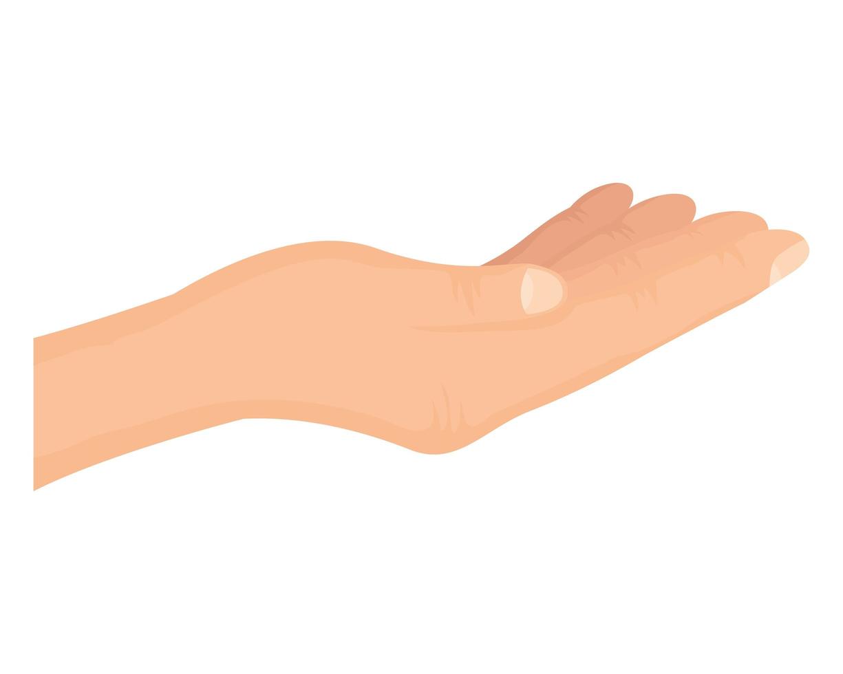 hand human receiving isolated icon vector