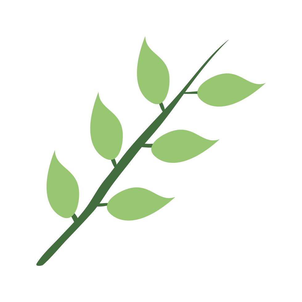 branch with leafs plant icon vector