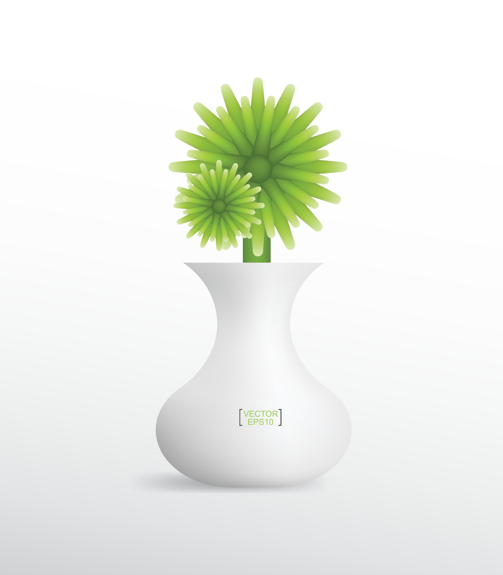 Decoration plants in flower pot. Small tree. Natural object idea for