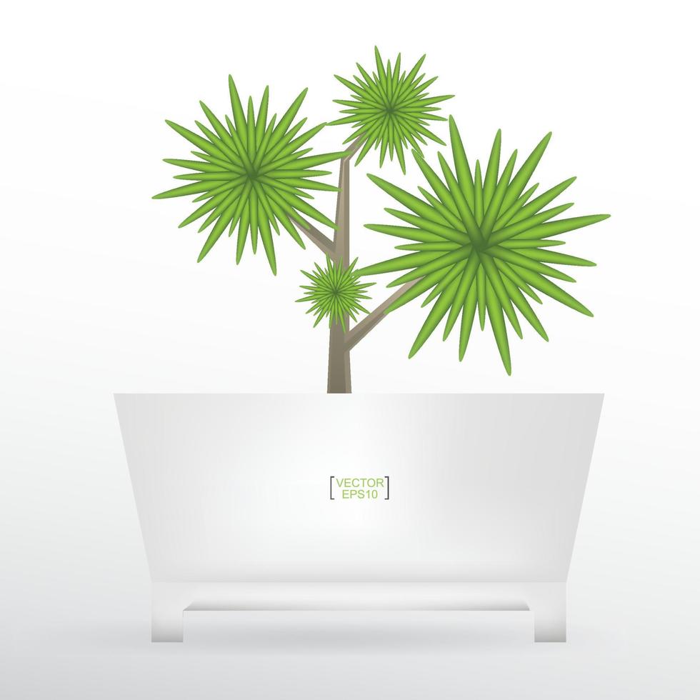 plantas de decoración en maceta. árbol pequeño. idea de objeto natural para diseño de interiores y decoración. vector. vector