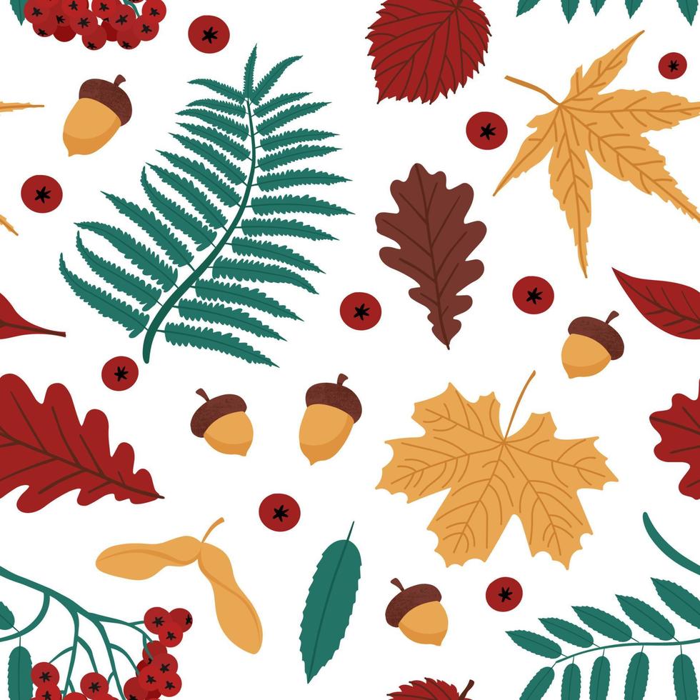 Seamless autumn pattern with leaves, rowan berries, and acorns. Vector isolated illustration on white background