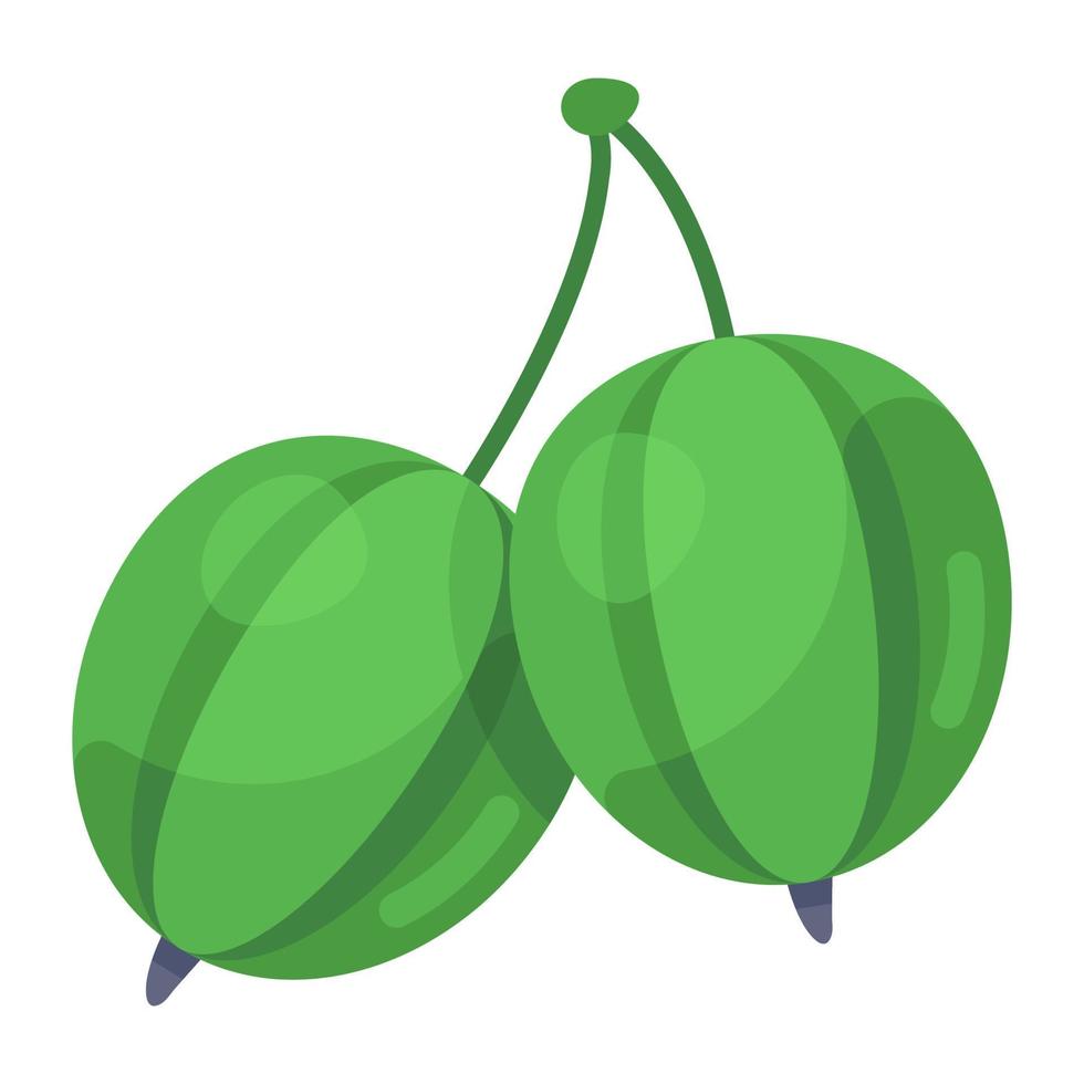 Trendy flat icon of gooseberries vector