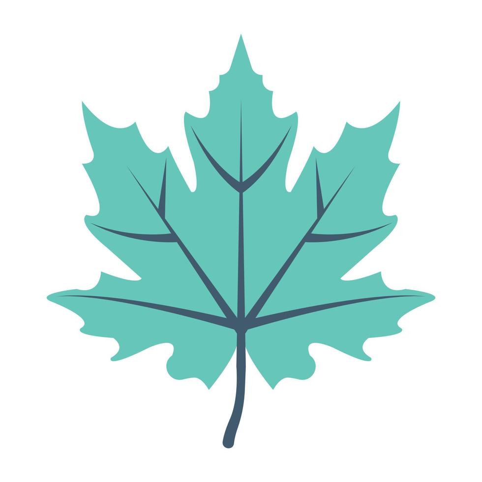 Maple Leaf Concepts vector