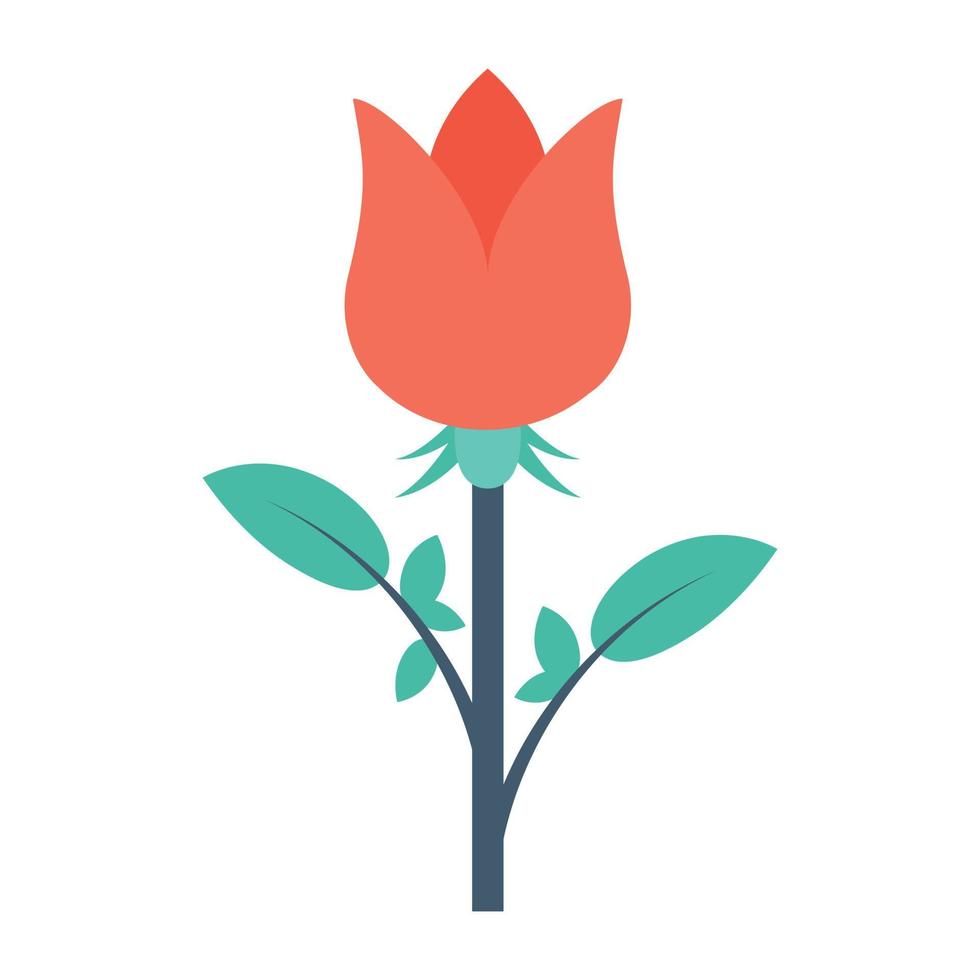 Trendy Rosebud Concepts vector