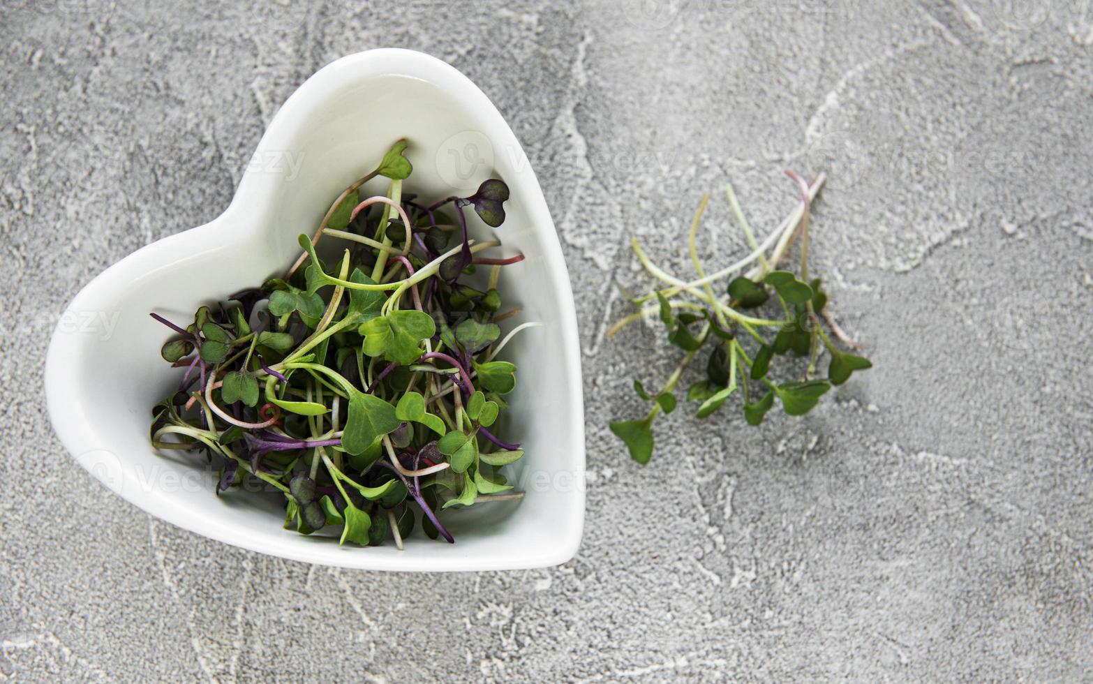 Microgreens de rábano rojo sobre una mesa de hormigón, concepto saludable foto