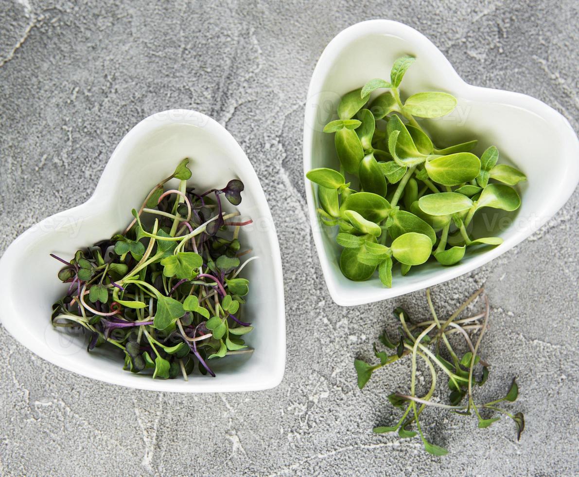 Assortment of micro greens at concrete background,  top view. Healthy lifestyle photo