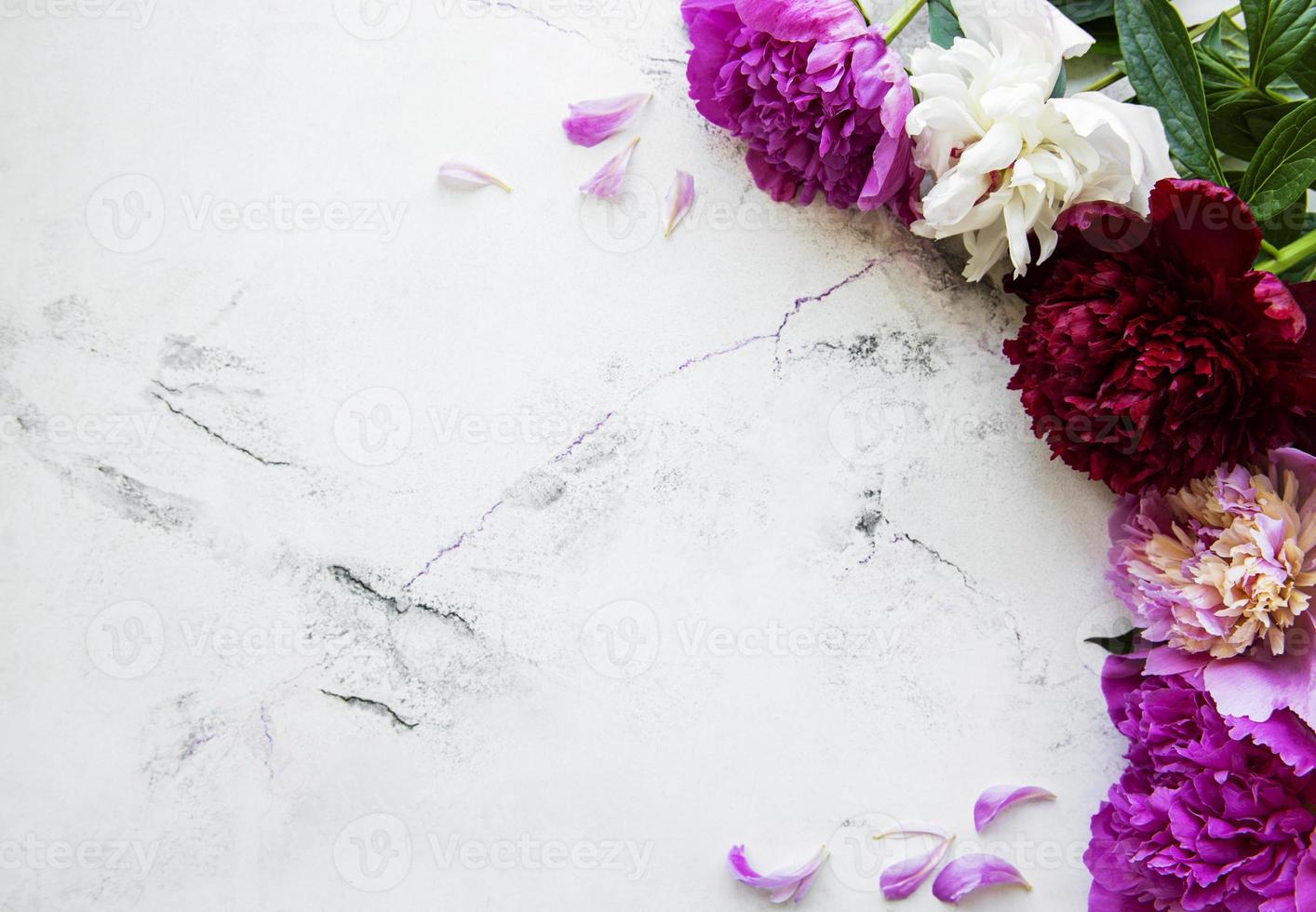 Peony flowers on a marble background photo