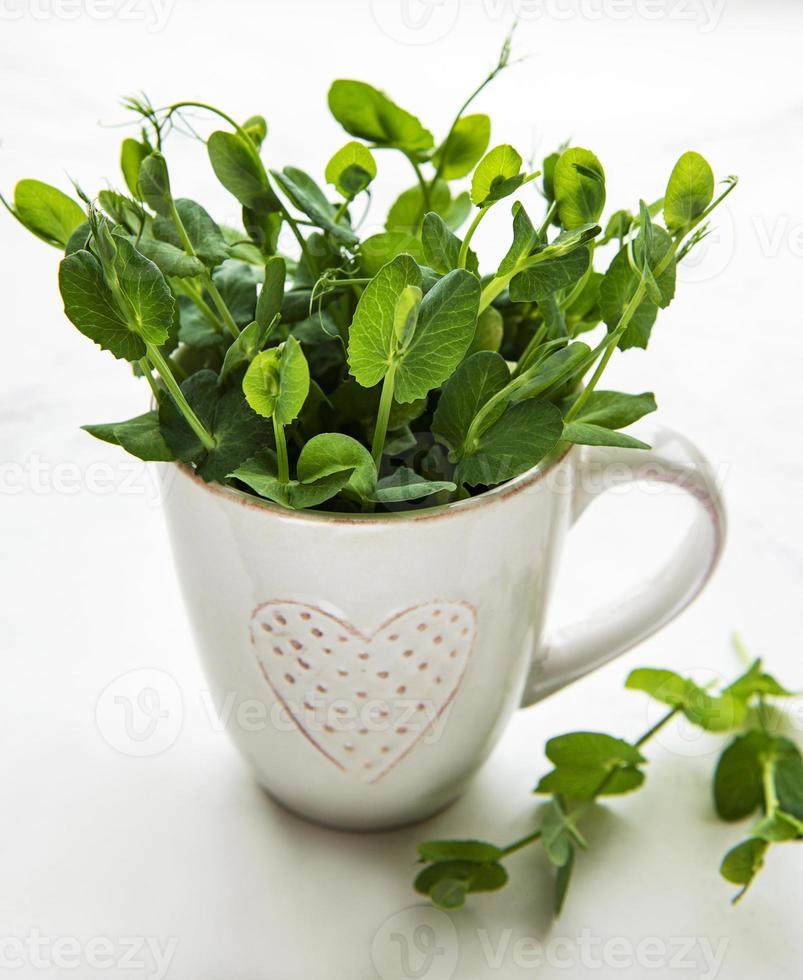 Taza con brotes verdes de semillas germinadas de guisantes sobre una mesa foto