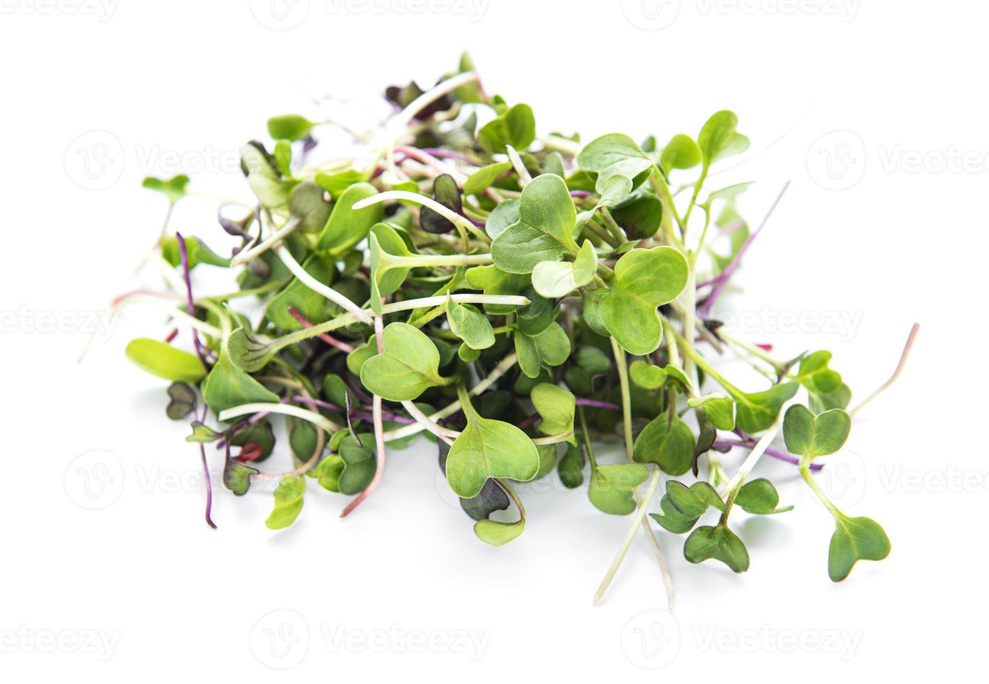 montón de micro greens de rábano sobre fondo blanco. concepto de alimentación saludable. foto