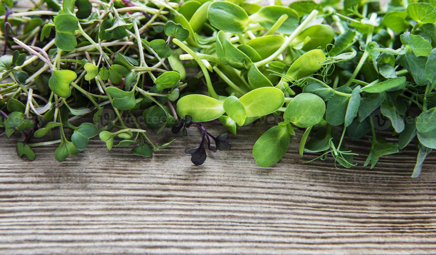 Assortment of micro greens at old wooden background,  top view. Healthy lifestyle photo