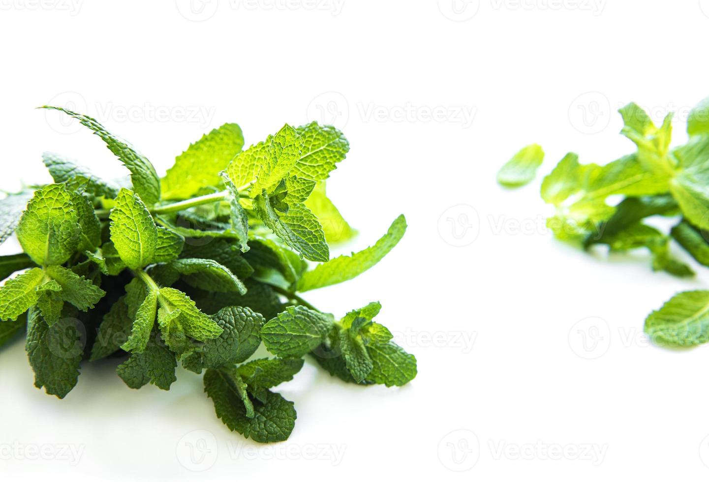 Fresh raw mint leaves isolated on white background. photo