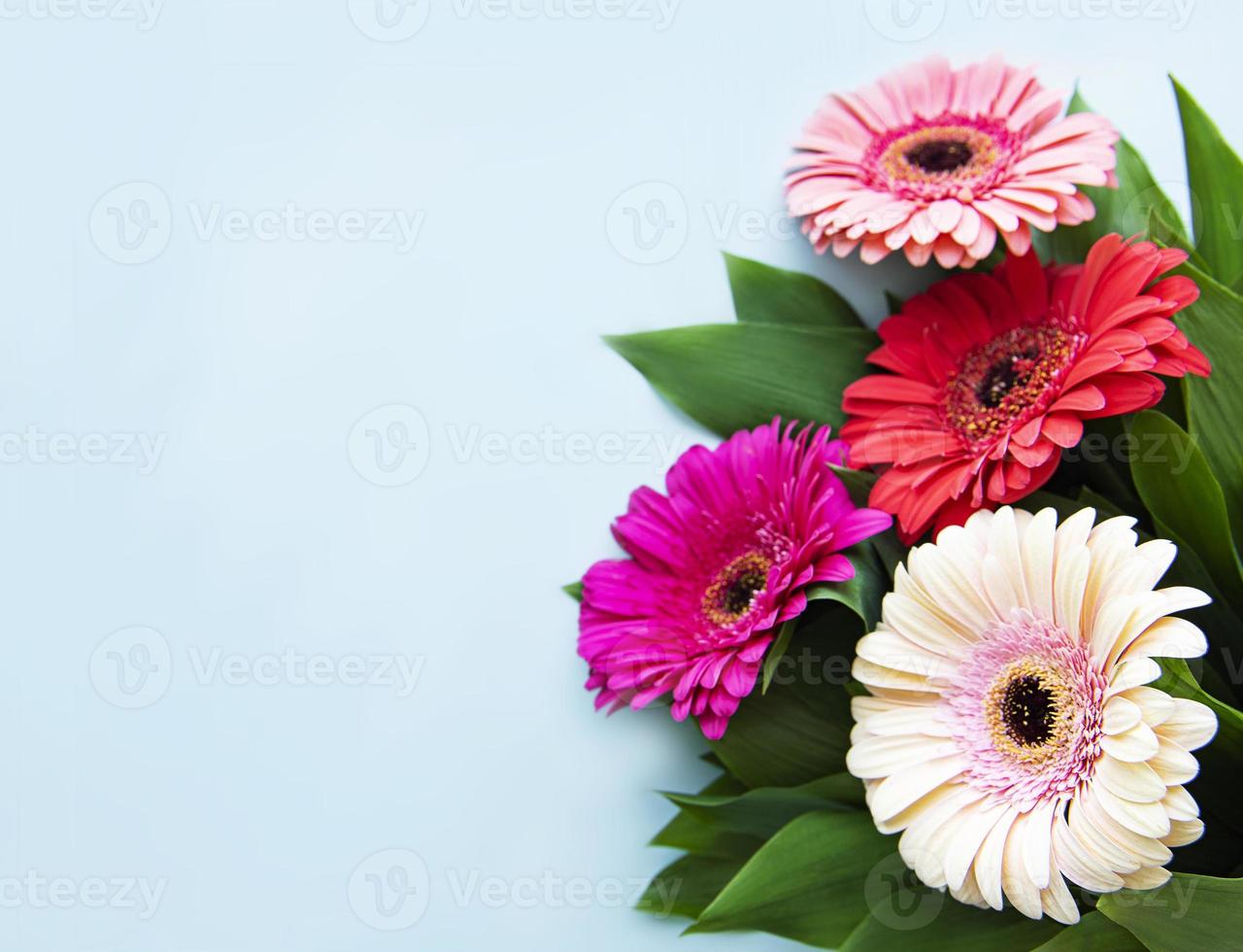 Bright gerbera flowers on a blue background 5037665 Stock Photo at Vecteezy