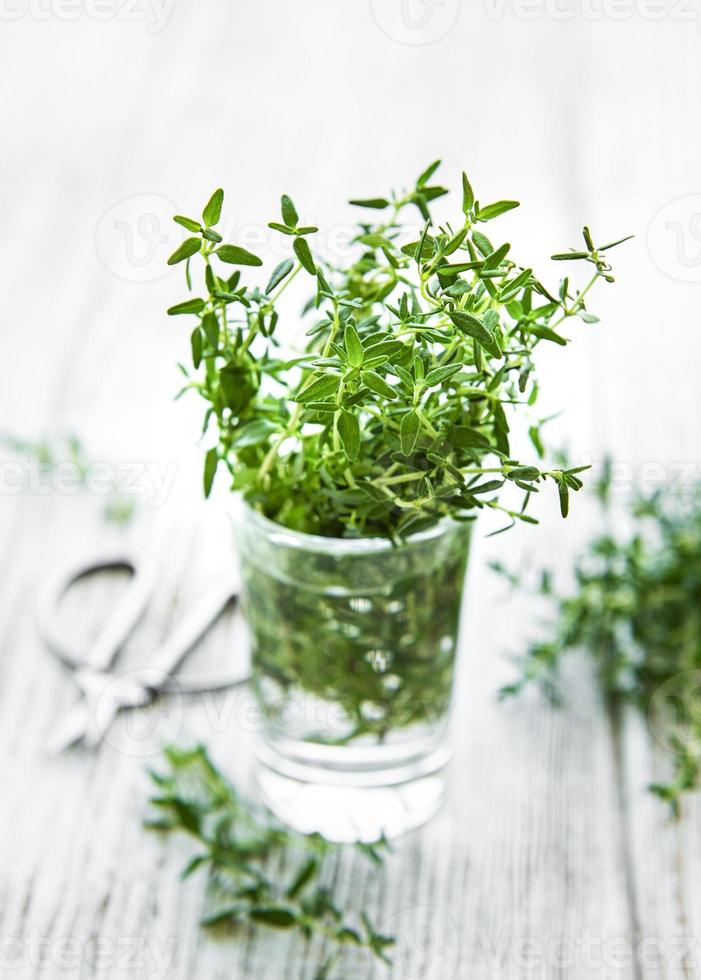 Close up view of thyme bunch. Green thyme in a glass photo