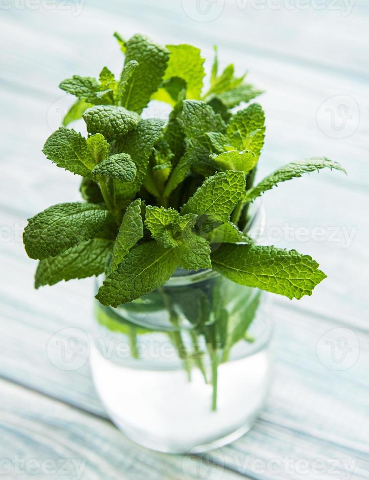 hojas de menta fresca en un frasco de vidrio pequeño foto