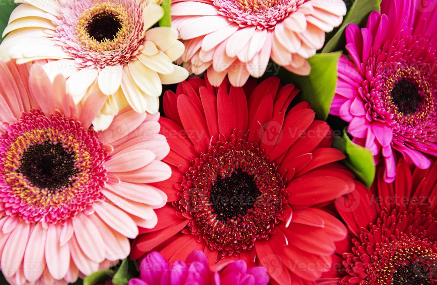 Gerbera flowers bouquet. Floral background. photo