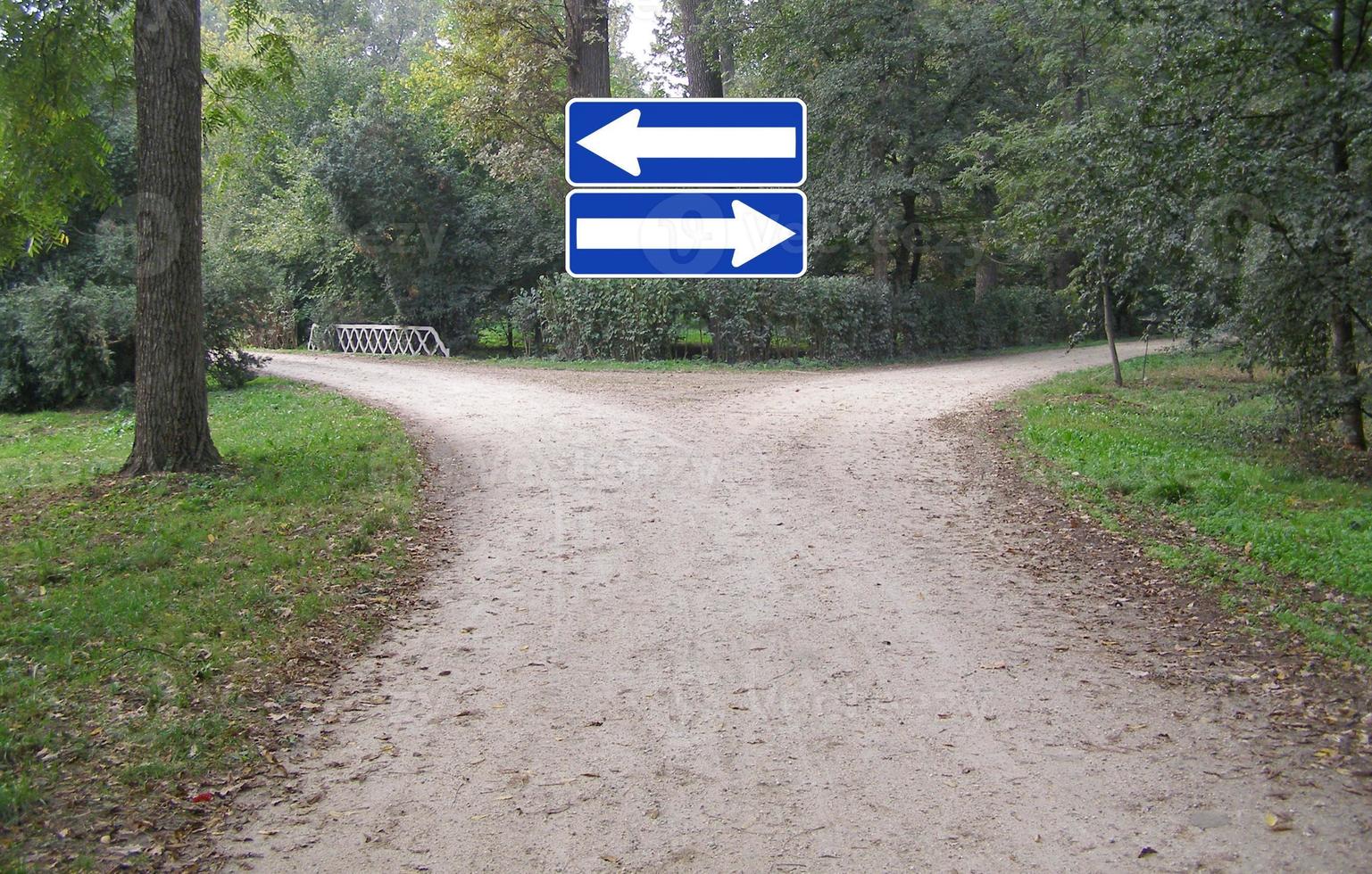 Choice direction signs photo