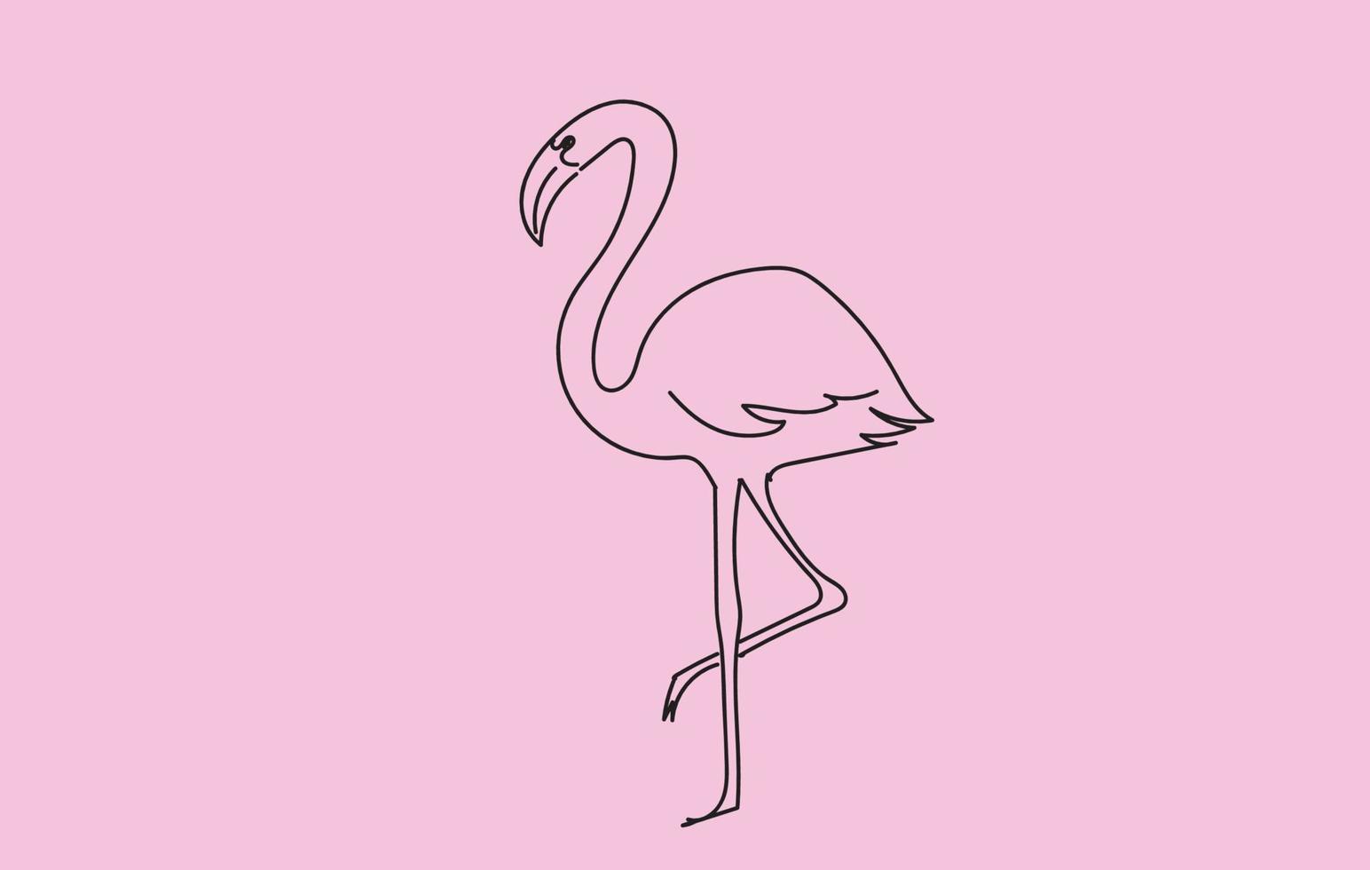 Flamingo Line Art Drawing on a Pink Background vector