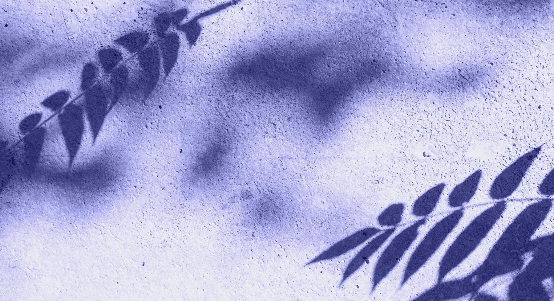 Shadows of twigs of plants on concrete wall on a bright sunny day. Nature creative background photo