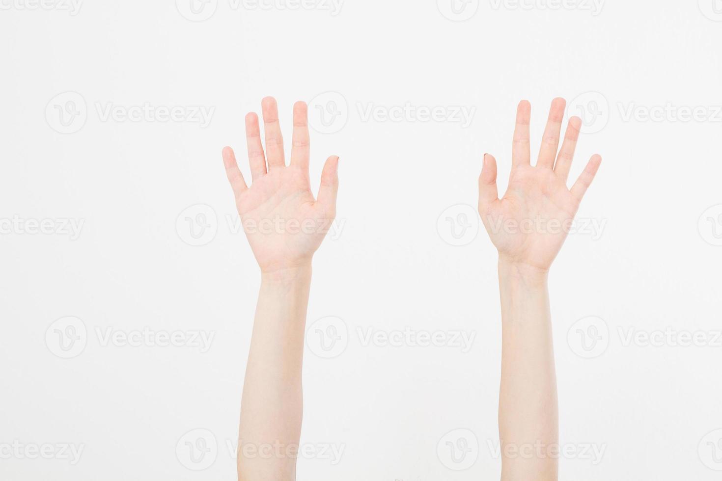 two hand isolated on white.Voting hand. Mock up. Copy space. Template. Blank. photo