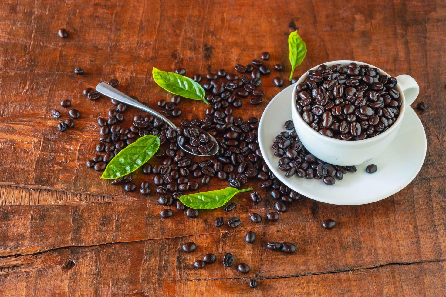 Roasted coffee beans in a cup photo