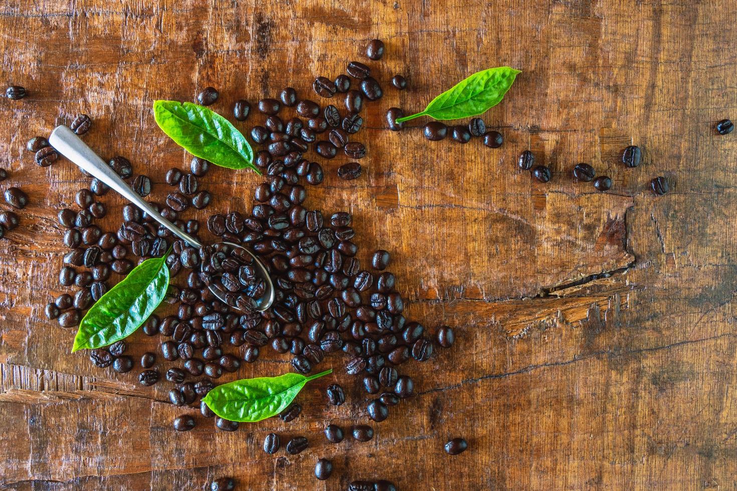 roasted coffee beans in a spoon on wooden background photo