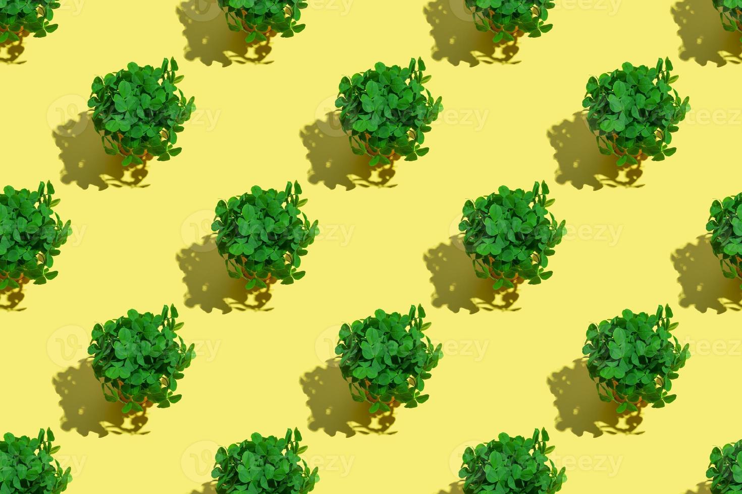 A bouquet of clovers in a yellow bucket with a hard shadow on a colored background. pattern photo