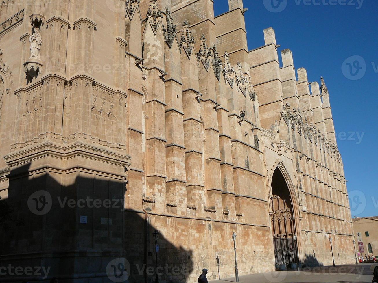 La Seu cathedral in Palma De Mallorca photo