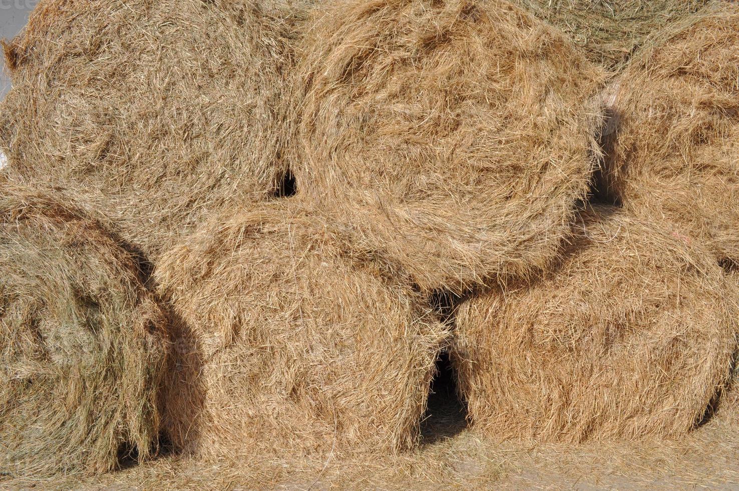 montón de pacas de heno foto