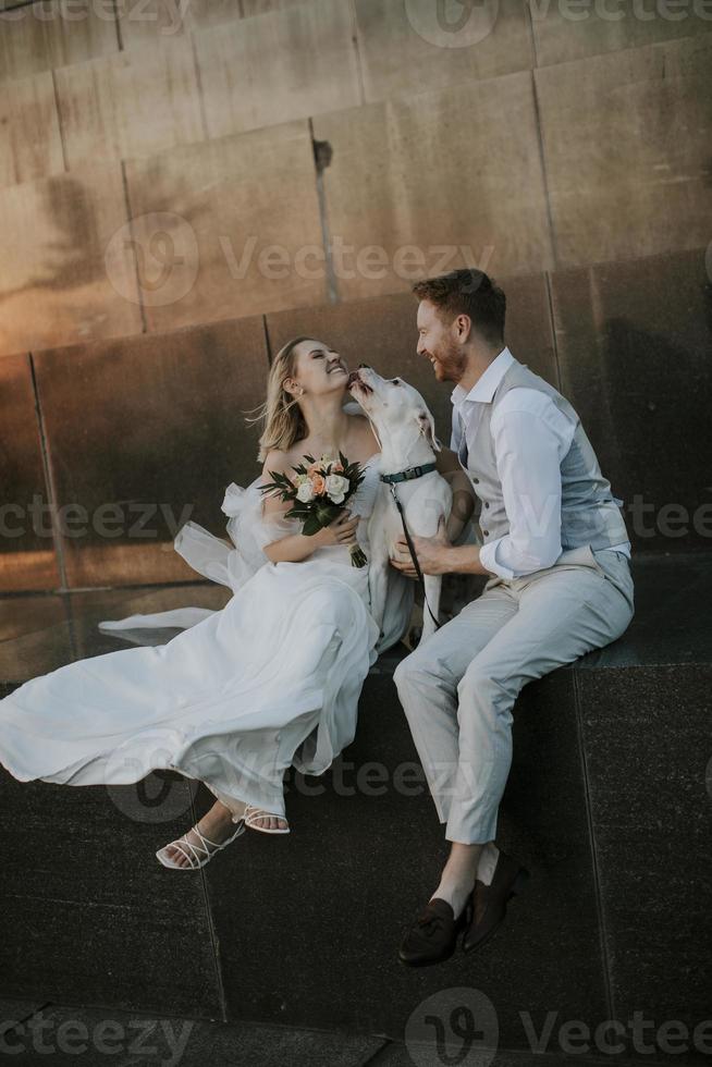 Young newlywed couple with their Jack Russel Terrier dog photo