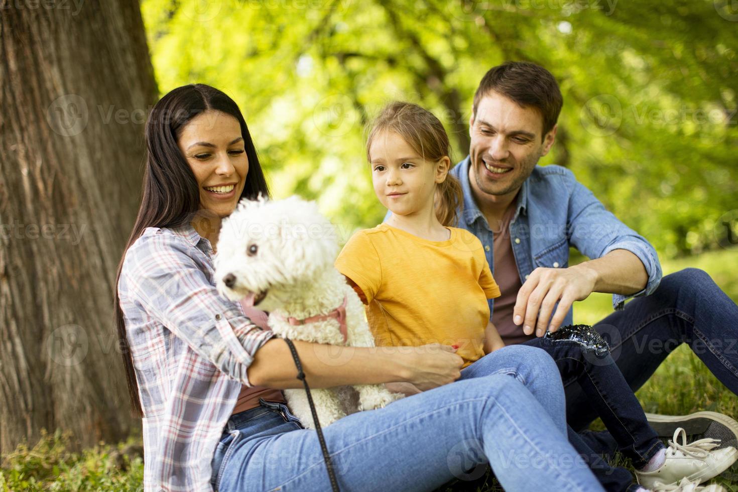 hermosa familia feliz se está divirtiendo con el perro bichon al aire libre foto