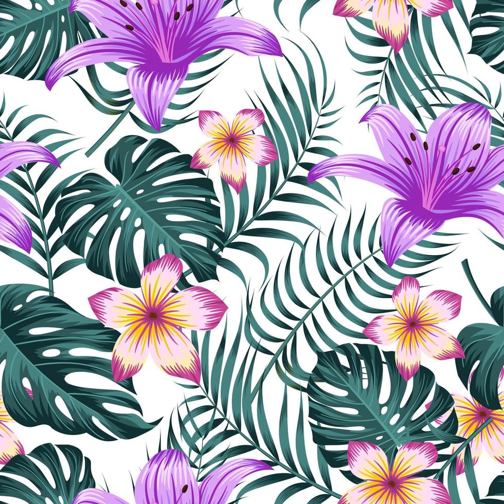 patrón floral transparente con hojas. fondo tropical vector