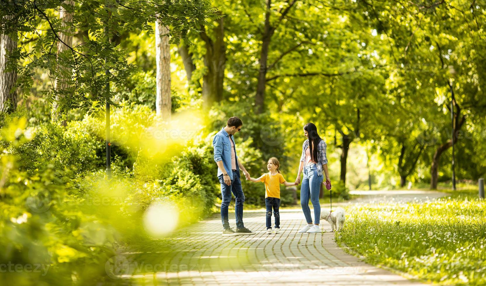 Happy family with cute bichon dog in the park photo