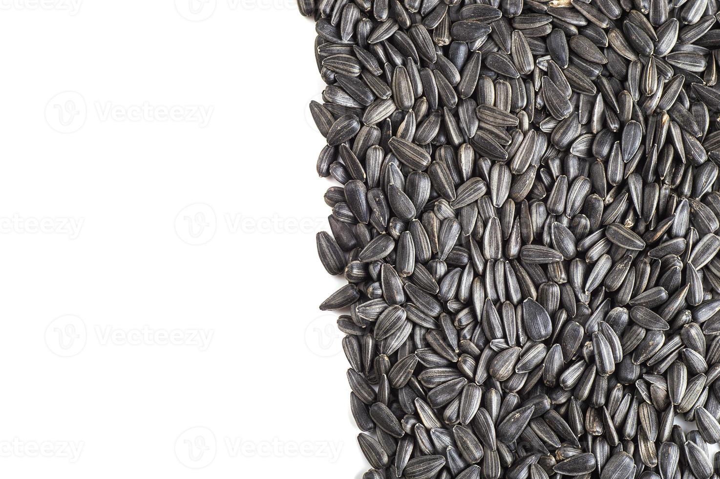 Sunflower Seeds on white background. Helianthus annuus. photo