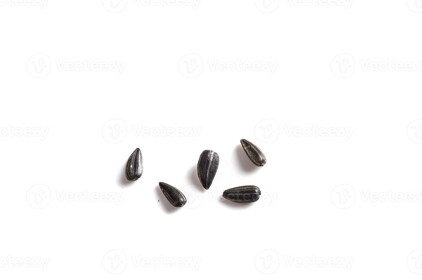 Sunflower Seeds on white background. Helianthus annuus. photo