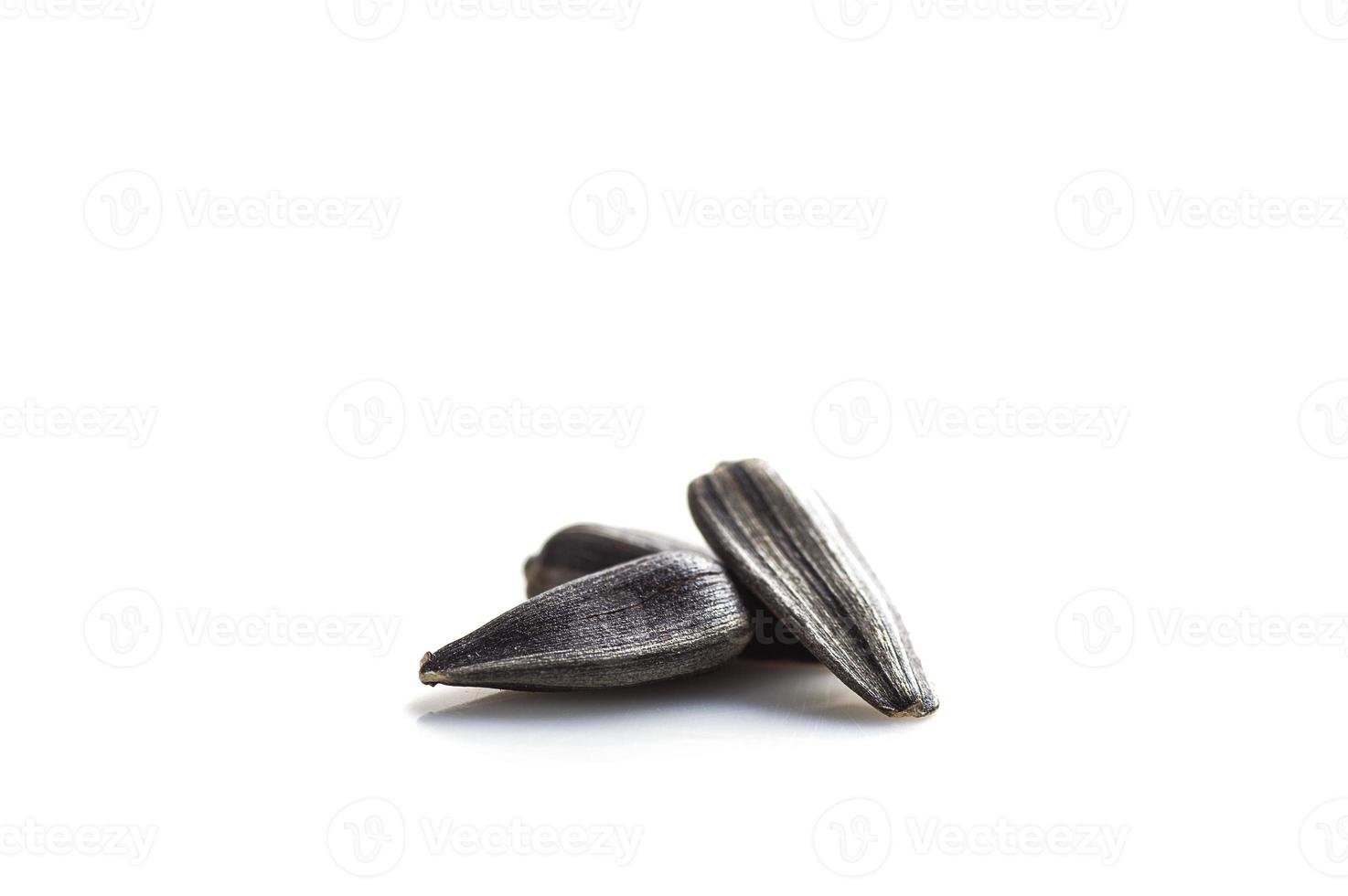 Sunflower Seeds on white background. Helianthus annuus. photo